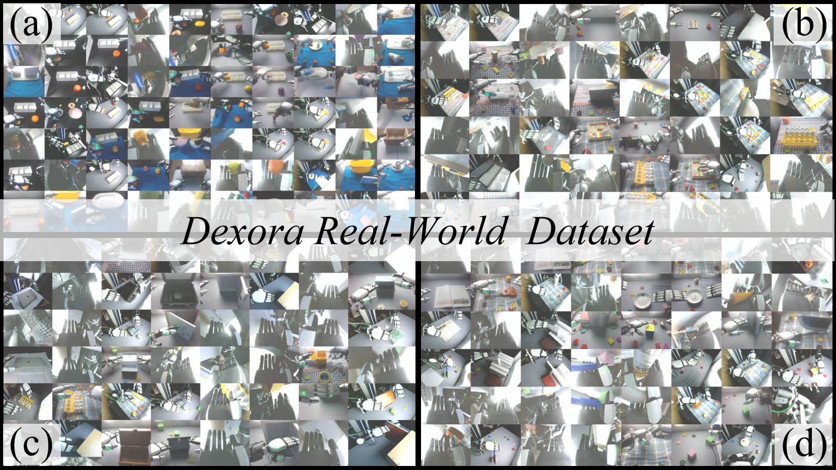 Dexora Real-World Dataset Mosaic