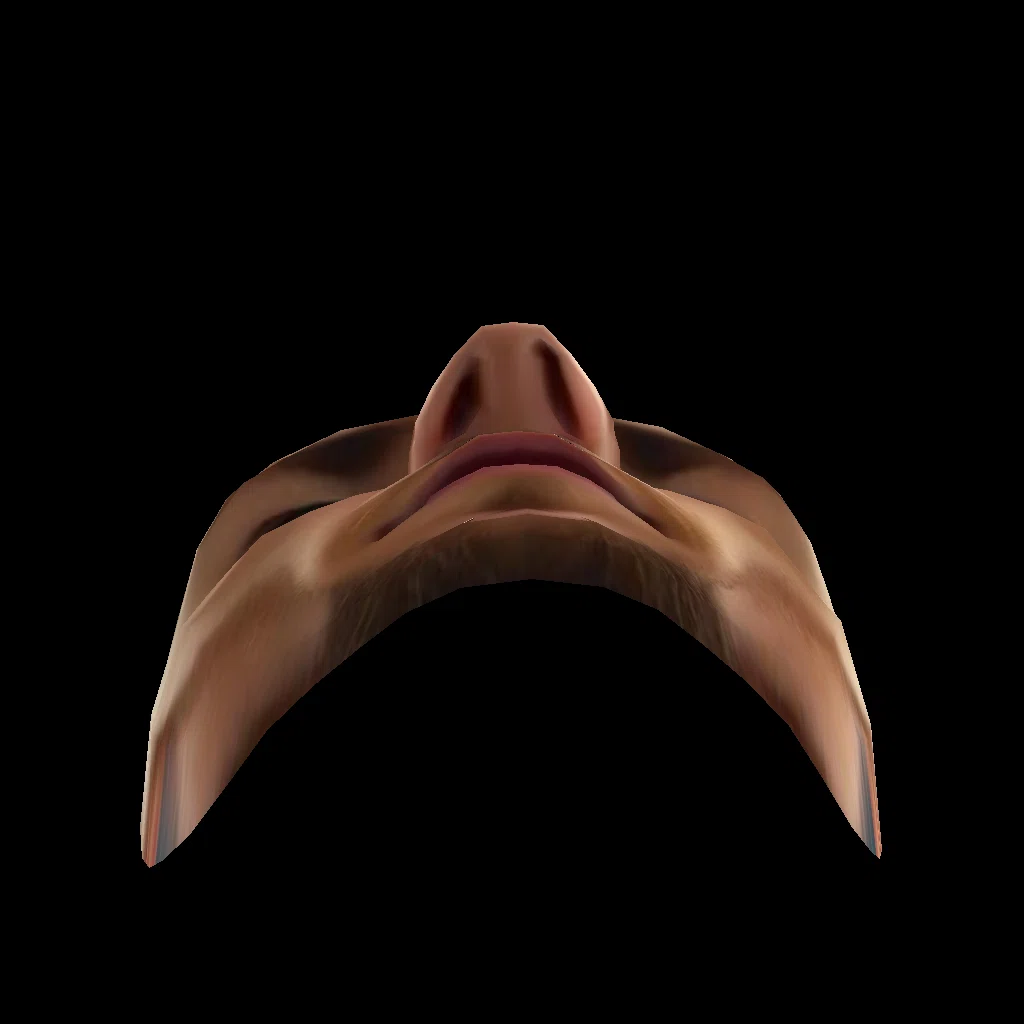 00827009.webp