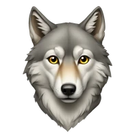 Kshitij Gupta's profile picture