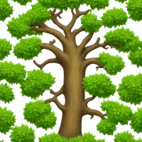 forrest smith's profile picture