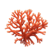 Jonathan Sauder's profile picture