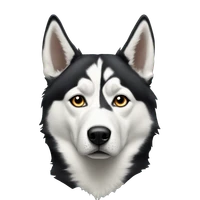 lei han's profile picture