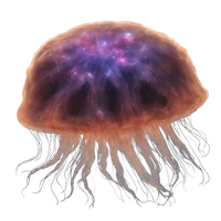 Dave Braines's profile picture