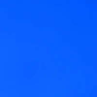 wang's profile picture